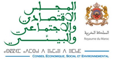 Recommandations CESE de la SST